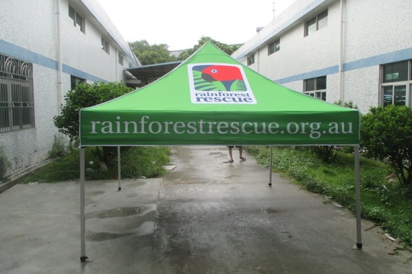 Rainforest-2