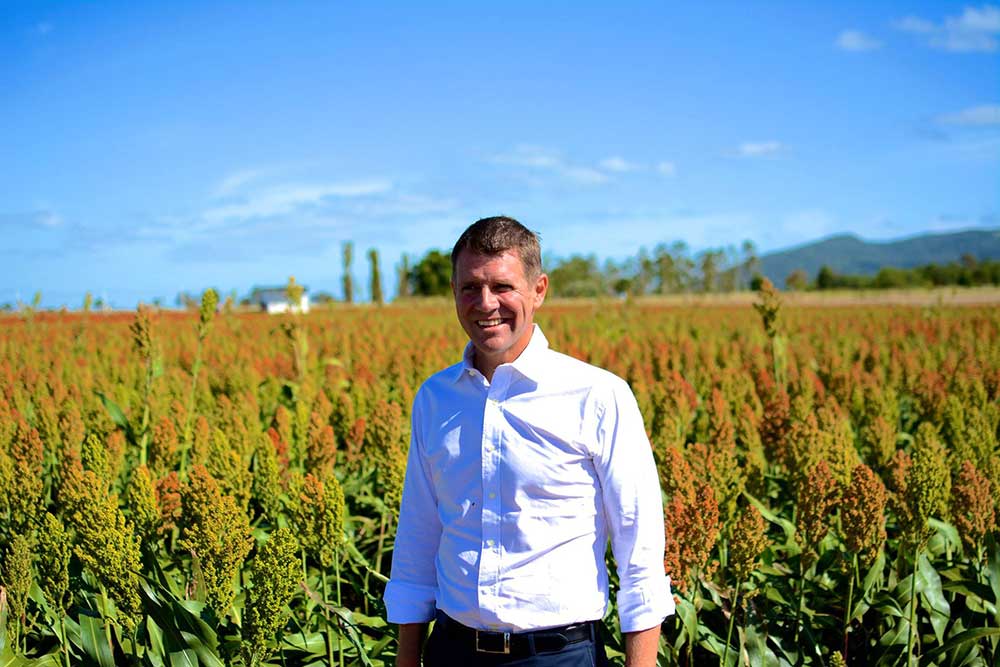 NSW Premier Mike Baird has been called upon by councils to create cabinet representation for the state’s country areas at the LGNSW Annual Conference.