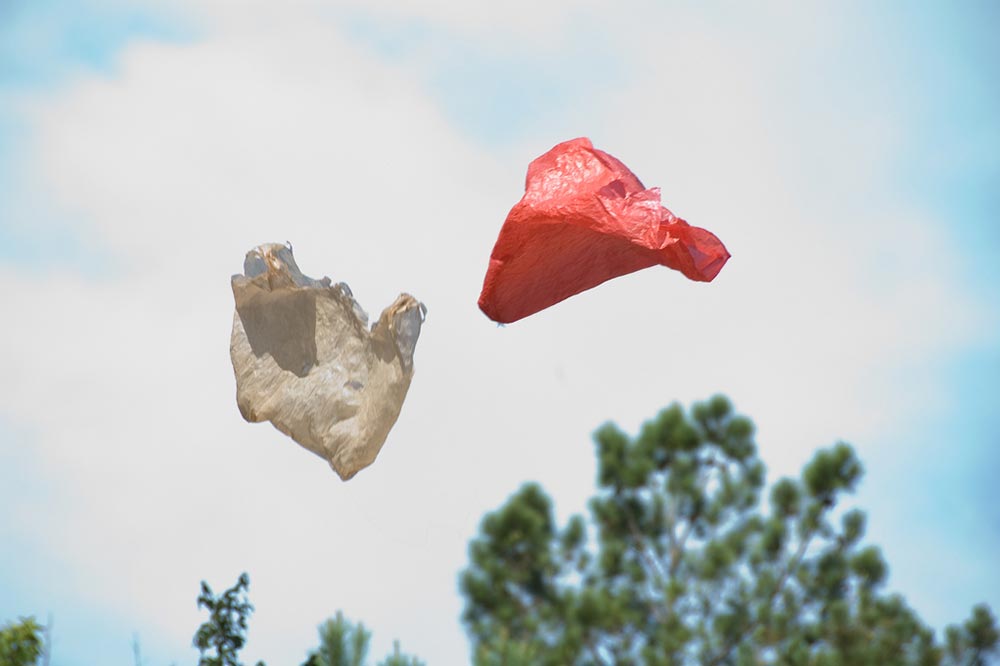 Australian governments have created a steering group to examine potential options on plastic bags because of their choking impact on the environment.