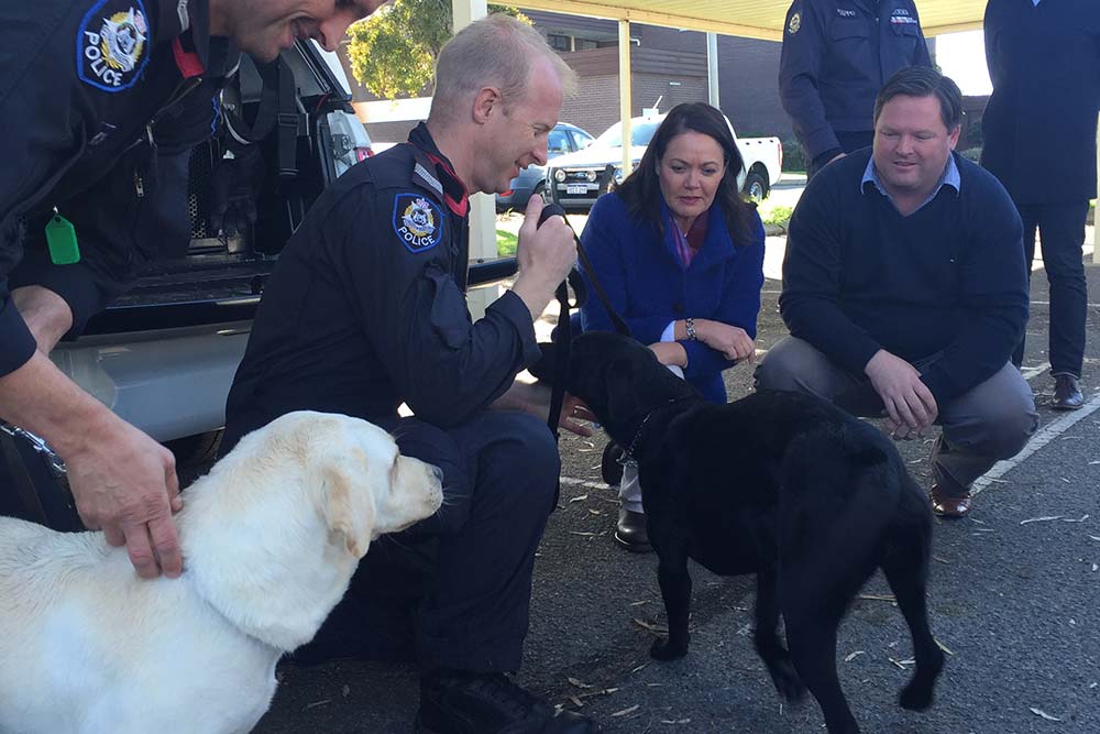 Two new drug dogs have been appointed by the state government to help sniff out the supply and distribution of meth in Western Australia.