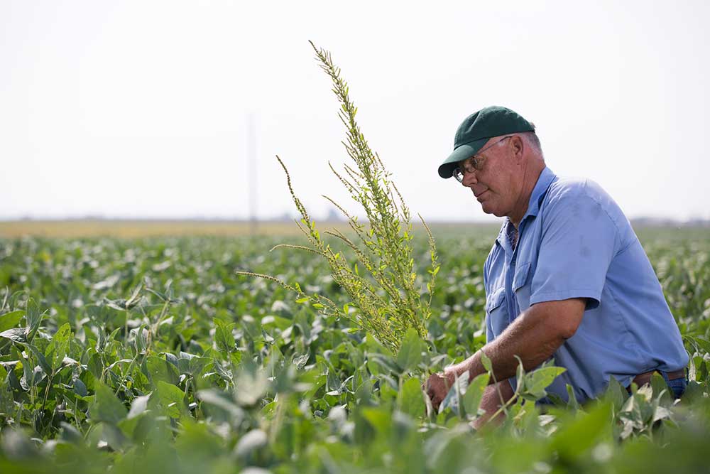 Barnaby Joyce has kicked off a new pilot program that will help enable Australia's farmers to have greater bargaining power with their produce buyers.