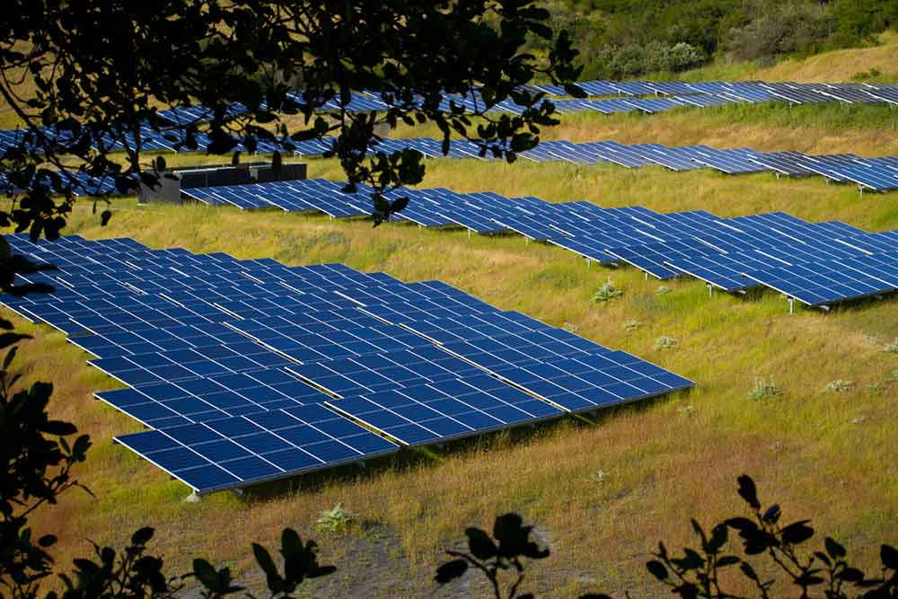 Queensland's Sunshine Coast Council to reap significant financial benefits through installation of 58,000 solar farm panels.